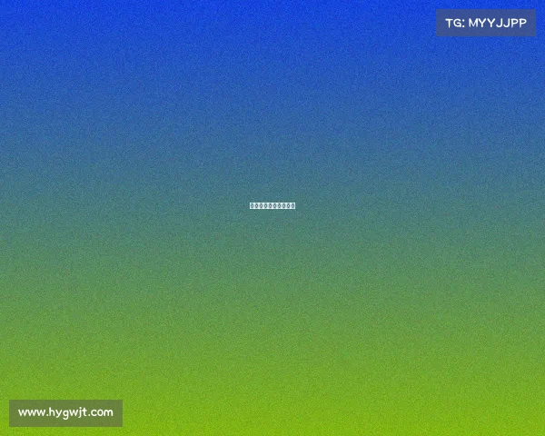 怀化市第十七届运动会 怀化市第十七届运动会